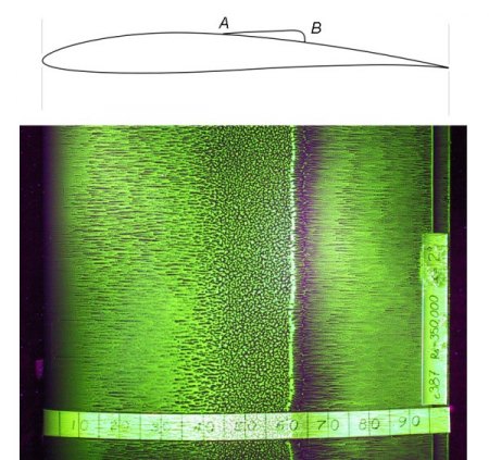 hat jemand das Programm Profili?