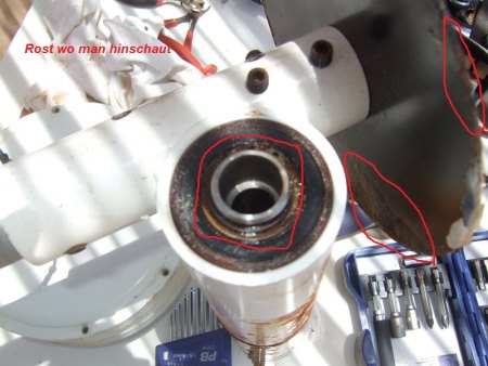 korrosionsgeschützt und Seewasserfest?