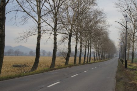 Auch Künstler mögen unsere Windgeneratoren