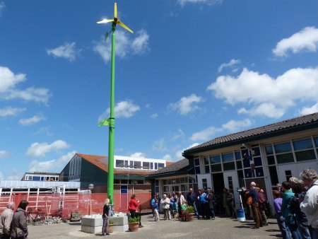 Heywind Sonnenblume NL