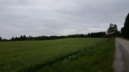Miila Organic Garden - Nothing installed yet
