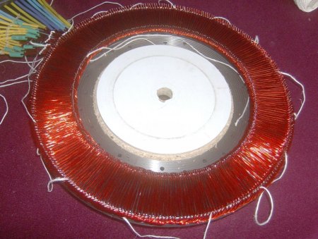 Scheibengeni mit neuer Wicklung