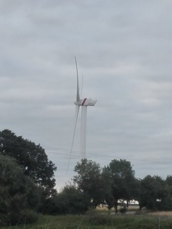 Skandal in Niedersachsen