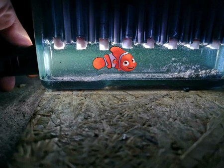 Beurteilung von Batteriebank