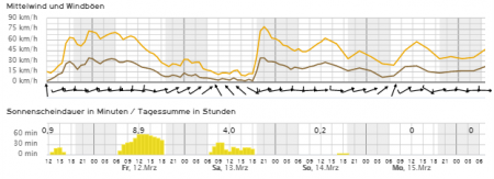 Versuchsaufbau chinesisches 500W-Windrad, 12m an einem Kirschbaumstamm