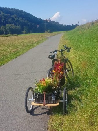 Gegen Atom und Gas als Grünes Label